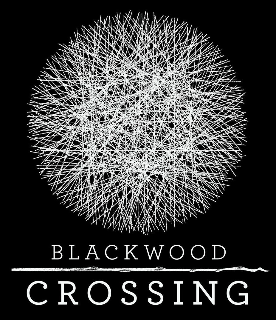 دانلود بازی Blackwood Crossing برای کامپیوتر